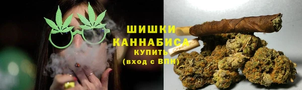 стаф Белокуриха