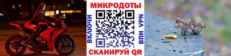 Галлюциногенные грибы GOLDEN TEACHER купить закладку kraken tor Павлово