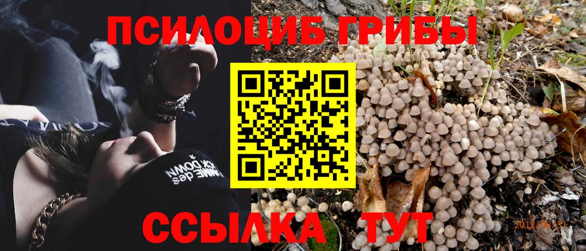 Павлово  Галлюциногенные грибы мицелий  Вход с VPN  Галлюциногенные грибы Psilocybine cubensis 