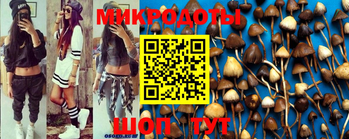 Галлюциногенные грибы MAGIC MUSHROOMS Павлово